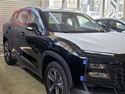 جیتۆر داشينگ